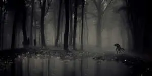 A Mysterious Dark Creature Emerging from the Shadows