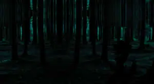 Dark Forest Background