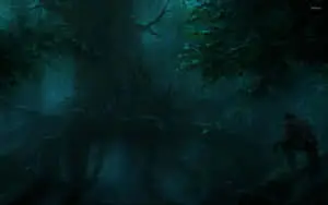 Dark Forest Background