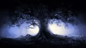 Dark Forest Background