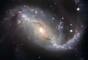 Captivating Dark Galaxy