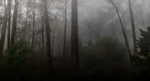Mysterious Dark Landscape under the Night Sky