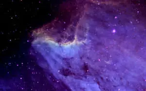 A mesmerizing view of Dark Matter in the universe