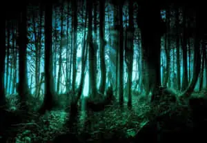 "Explore the Magic of Dark Nature" 