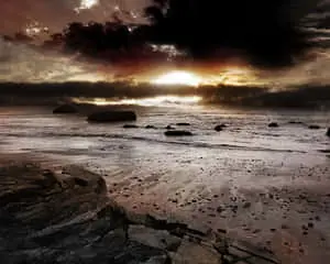 An Idyllic Scene of Dark Nature 