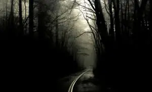 Explore the Mystical Darkness of Nature" 