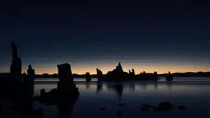 "The Serenity of Dark Nature"