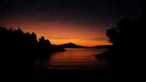 "Explore the Mysterious Beauty of Dark Nature"