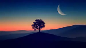 "Let Nature Speak"
