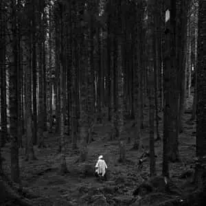 Enjoy the Majestic Beauty of Nature in the Darkness