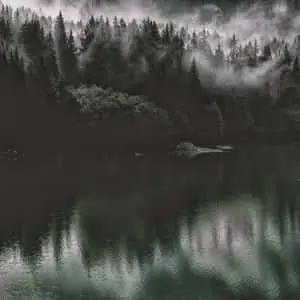 Mesmerizing mood of the dark nature