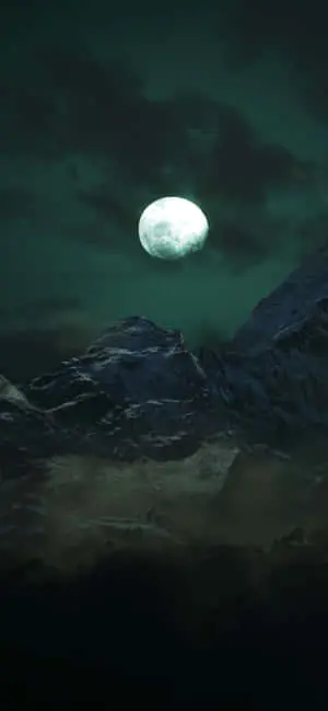 The dark beauty of nature