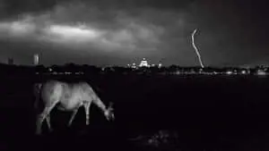 Mystical Dark Night Sky