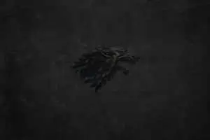 Dark Shadowy House Stark Sigil