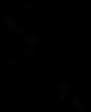 Darkened Feather Silhouette