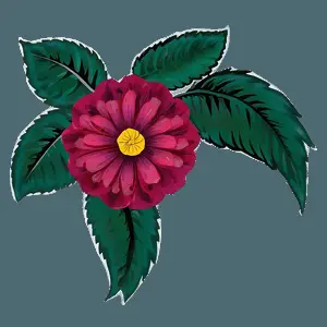 Delightful Flower Images PNG 06292024