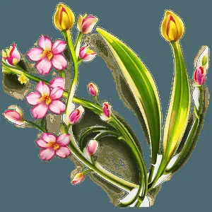 Delightful Flower Images PNG jya57