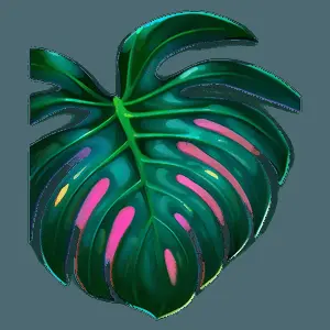 Detailed Monstera Leaf PNG cuc27
