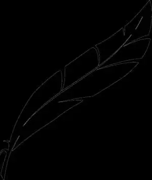 Elegant Feather Silhouette
