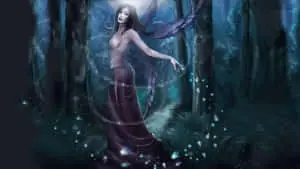 Enthralling Dark Woodland at Night