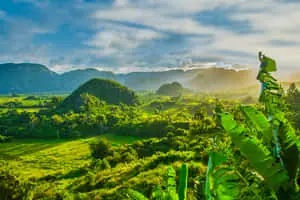 "Beauty of Nature"