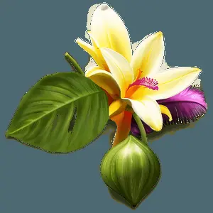 Exotic Flowers Collection PNG 04292024