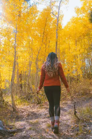 Fall Hikes 900 x 1349 wallpaper