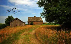 Farmhouse With A Small Barn