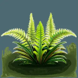 Fern Landscape PNG 43