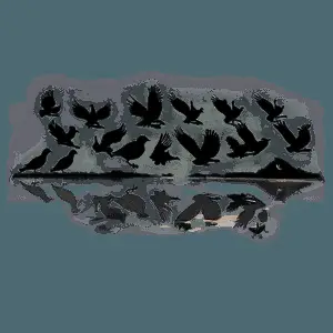 Flock of Birds Silhouette PNG 39