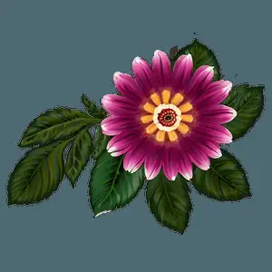 Floral Indie Bloom PNG 88