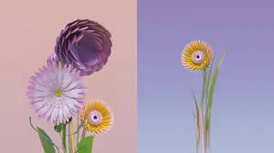 Flower Design Blossoming Flowers