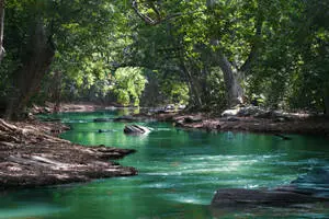 Flowing River Landscapes