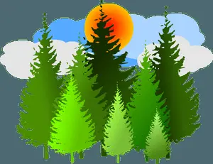 Forest Sunrise Artwork.png