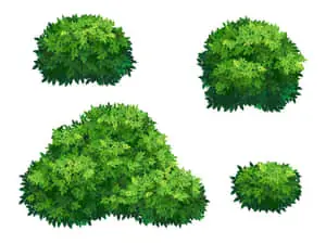 Four Green Wild Bushes Digital Art