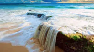 Beauty of Nature in Full HD