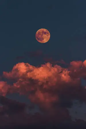 Full Moon Halloween Aesthetic