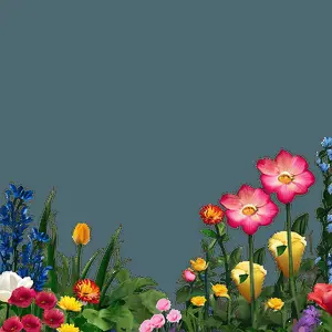 Garden Flower Frame PNG 05252024