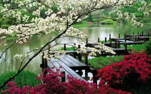 The Beautiful Colors of Nature's Paradise