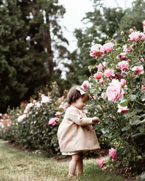 Captivating Garden Scene