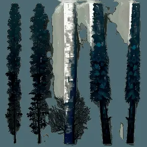 Gloomy Dark Forest PNG 06232024