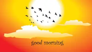 Good Morning Sunny Day Picture