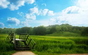 Green Forest Park Nature