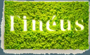 Green Moss Wall Art Fintus Logo
