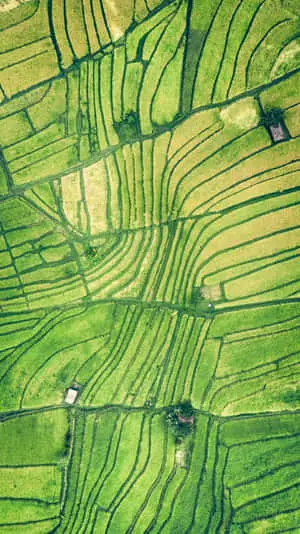 Enjoy the beauty of nature