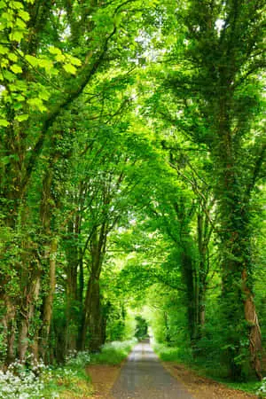 Explore The Beauty Of Nature 