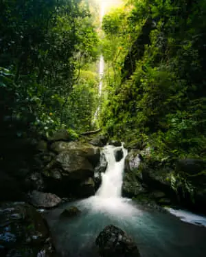 The beauty of untouched nature