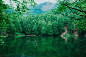 a lake surrounded by green trees and mountains