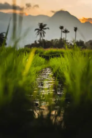 “A Beautiful Day Outdoors in Nature”