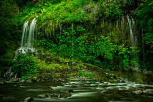 Experience the peaceful freedom of nature